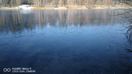 Der Waldsee in Walldorf bei Heidelberg mit Spiegeleis am 20.04.2024